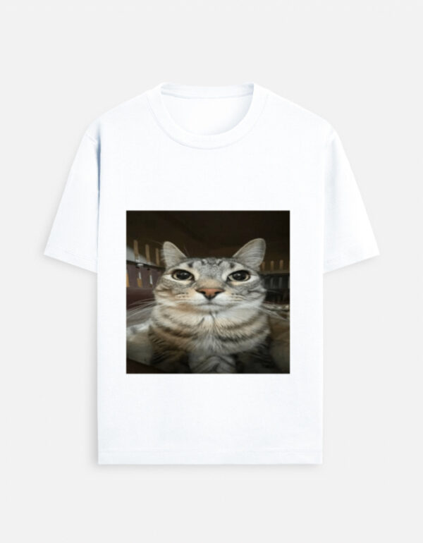 Cat meme 3 T-Shirt
