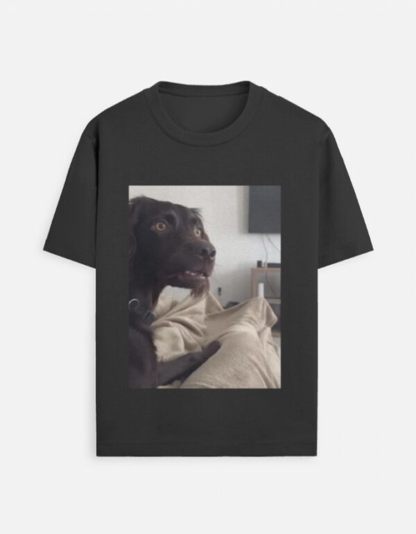 Dog meme 2 T-Shirt