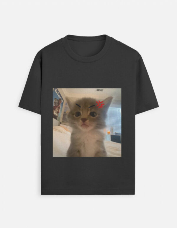 Cat meme 2 T-Shirt
