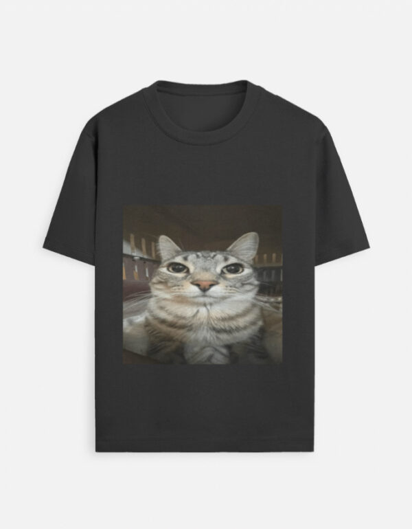 Cat meme 3 T-Shirt
